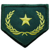 CS WG Green General Wheat Scion A Star Arm Badge Magic Sticker