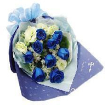 Pingliang Flowers Express City 11 Blue Roses Tanabata Valentines Day Book Wuwei Qingyang Nanan Flower Shop to Send Flowers
