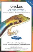 Original Geckos: Day Geckos Tokay Geckos Plus New Caledonian