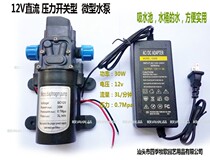 Diaphragm water pump micro water pump 12V micro water pump pressure switch Micro Booster Water pump configuration high power