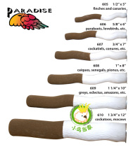 Paradise American Parrot of Parrot Grinding Claw Claw Station of Parrot