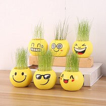 Office mini micro landscape plant grass potted children indoor planting cute expression long grass head doll