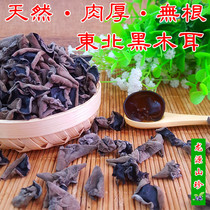 Ingot small autumn fungus rootless fungus Northeast dry goods selected rootless autumn fungus small bowl ear specialty 500g