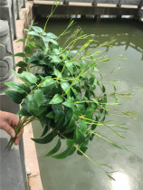 High-grade green leaves Plant Wall Flower arrangement decorative leaf simulation leaf silk flower factory direct sales