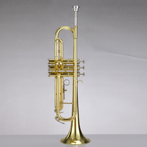 Western trumpet musical instrument playing grade B trumpet Professional Golden trumpet Jiajia Musical instrument Special price