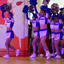 2016 new factory customized mass competitive aerobics suit Artistic gymnastics suit La La gymnastics competition suit 023