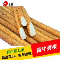 Weisang burdock fresh yellow skin burdock root Net weight 5 kg Burdock Xuzhou burdock burdock burdock tea raw materials