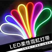 2835 5050 Neon RGB SMD Flex soft led with plug line DC12V 220V hot sale