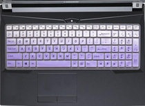 Purple Wheat KEYBOARD PROTECTION FILM 17 3 INCH COMPUTER NOTEBOOK FULL COVERAGE ANTI DUST TRANSPARENT CUTE COVER 17 COLOR RUGGED SILICONE CARTOON WATERPROOF ANTI-GLOW BUTTON PROTECT NON LUMINOUS NIGHT LIGHT