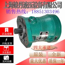 10MCY 25MCY 63MCY 80MCY 100MCY 160MCY 250MCY14-1D Shanghai piston pump
