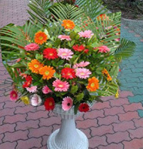 Opening ceremony flowers congratulations housewarming flowers concert flowers Roman columns flowers Shanghai flowers City Express