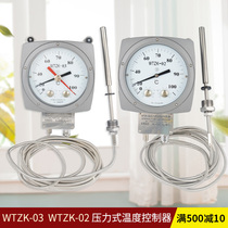WTZK-02 transformer oil surface thermometer WTZK-03 high precision pressure type temperature indication controller manufacturer