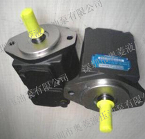 Maintenance France DENISON various pumps DENISON DENISON T6CCM T6DCW T6EDP series pump