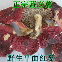 Wild plane Russula mushrooms Sanming soil Fujian Sanming soil Wuyishan Red Mushroom 250g