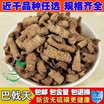 Chinese medicine Deqing Wild Go to core dent meat Baji select new cargo Hadent Day 500g brew wine