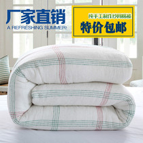 Cotton wool quilt student dormitory bed cotton quilt quilt core single spring autumn and winter thickened warm quilt