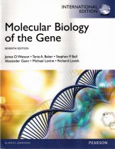 Molecular Biology of the Gene Seventh Edtion Gene Biology