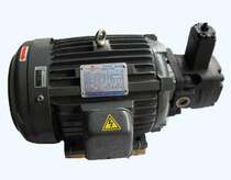 Sale RISEN oil pump motor 0 75KW motor VP-SF 12-d RISEN oil pump