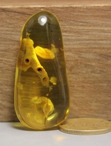 Natural sea-bleached amber beeswax rough fine throwing boutique 5 8 grams rare insect leakage Jinper pendant diy accessories pendant