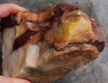 Ning Qiang Coral Jade Fossil Chi Stone Original Stone Boutique Fine Material Fine Grain corrugated boutique playful color (2 optional W