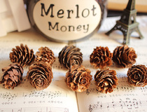 Fall leaves loose ball 10 valence net Shop photography background Taobao photo shoot Prop Pine Nuts Dry Flowers