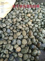 Gray stone wool stone cobblestone Gardening stone River decoration paving Gray stone dry landscape landscape fill the gap