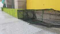Boutique with junction net cement pendant Shrimp Cage 100 Foot Cage Crab Cage Tail 9 Shares with netting Shrimp Cage