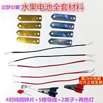 Fruit Battery Experimental Suite Potato Cola Fruit Battery Material Copper Zinc Elementary Science Experiment