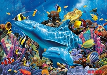 Soft film smallpox special transparent film HD photo film UV film inkjet film underwater world material