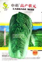 Shen Mengs high-yield champion Chinese cabbage seeds mid-late maturing generation hybrid ball fast and tight storage