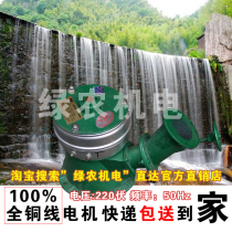 Recommended Seiko full copper wire 500 watt hydroelectric generator 220V five hundred watt turbine micro household mute