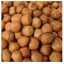 Hazelnut wild hazelnut raw hazelnut cooked hazelnut 10 10 RMB88  250 gr 250 gr stock cooked