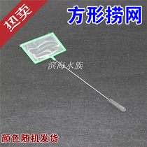 Square Fish Nets Fish Tank Turtle Tank Aquarium Goldfish Tropical Fish Fish Fishing Nets Hand Transcript Color Random