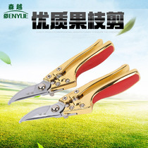 Pruning shears flower scissors gardening scissors floral pruning branches scissors tree scissors garden forest tools