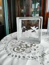 Italian brand European CE safety certification imported ultra-pure white high transparent hollow glass brick 1908