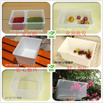 Food display box Plastic leisure bulk fried dried fruit Supermarket candy box White translucent fighting box