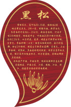 709 home poster board printed sticker material 496 tree name black pine introduction