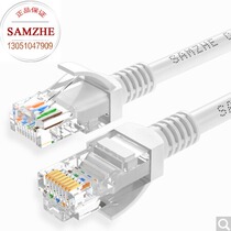 Shanze (SAMZHE)ZW-03 high-speed Super Five network cable 3 meters Beiji color (three discount)