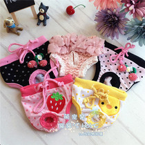 Pooch Physiology Pants More Than Bear Teddy Safety Pants Pets Menstrual Pants Great Aunt Sanitary Pants Underwear and Anti-Harassment