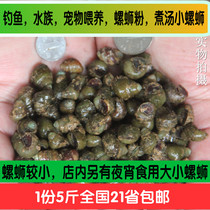 (Wild snail meat) game mountain treasure fresh live stone snail mud screw meat live snail fresh water snail specialty