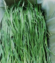   2020 drying of wheat straw rabbit dragon cat pasta hay wheat sapid hay wool heavy 1000 grams