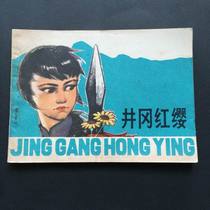 Jinggang hong ying-2493