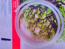 Gasoline generator 2KW-6 5KW tubing gasoline engine water pump 168 188FGX160 fuel tube 390