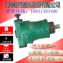 Original plant direct selling 80SCY 80SCY14-1B Shanghai manual variable high-pressure hydraulic axial plunger oil pump motor