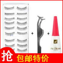 Makeup Set eye makeup combination handmade 217 false eyelash glue aid makeup