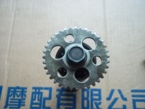 Yamaha YP250 Malaysia 250 Majestic 250 original cam timing tooth cam chain tooth