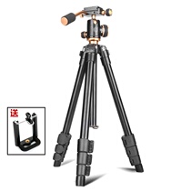 Lightweight era Q160 Portable SLR camera tripod Mobile phone selfie micro single bracket Live video angle frame
