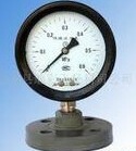 Factory direct YTP-100SF anti-corrosion all plastic diaphragm pressure gauge quality assurance
