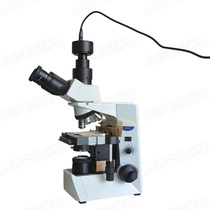  Computer OLYMPUS Olympus CX31 Biological microscope Digital CX31 3 million pixel microscope