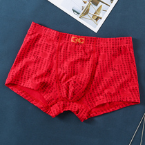 Fentin Benfens New Year lucky mens Young Mens printed boxer pants head wedding shorts